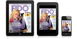 FIDO Friendly MobileMobile