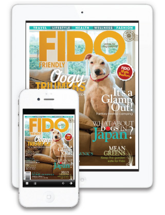 FIDO Friendly Mobile